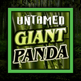 untamed giant panda